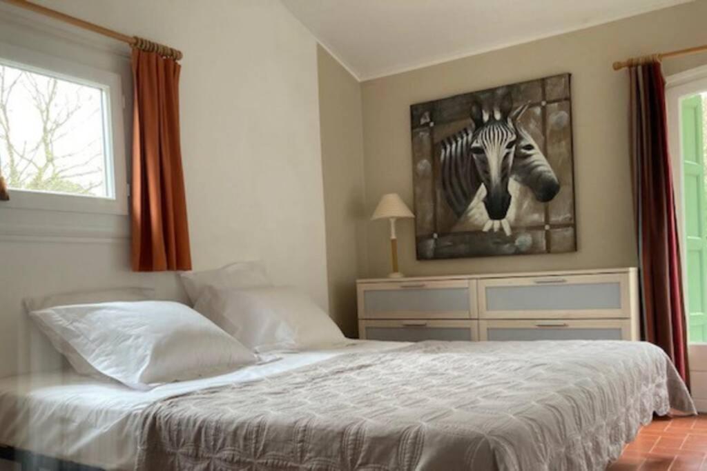 Maison Avec Piscine Chauffee Entre Mer Et Montagne Montauriol  エクステリア 写真