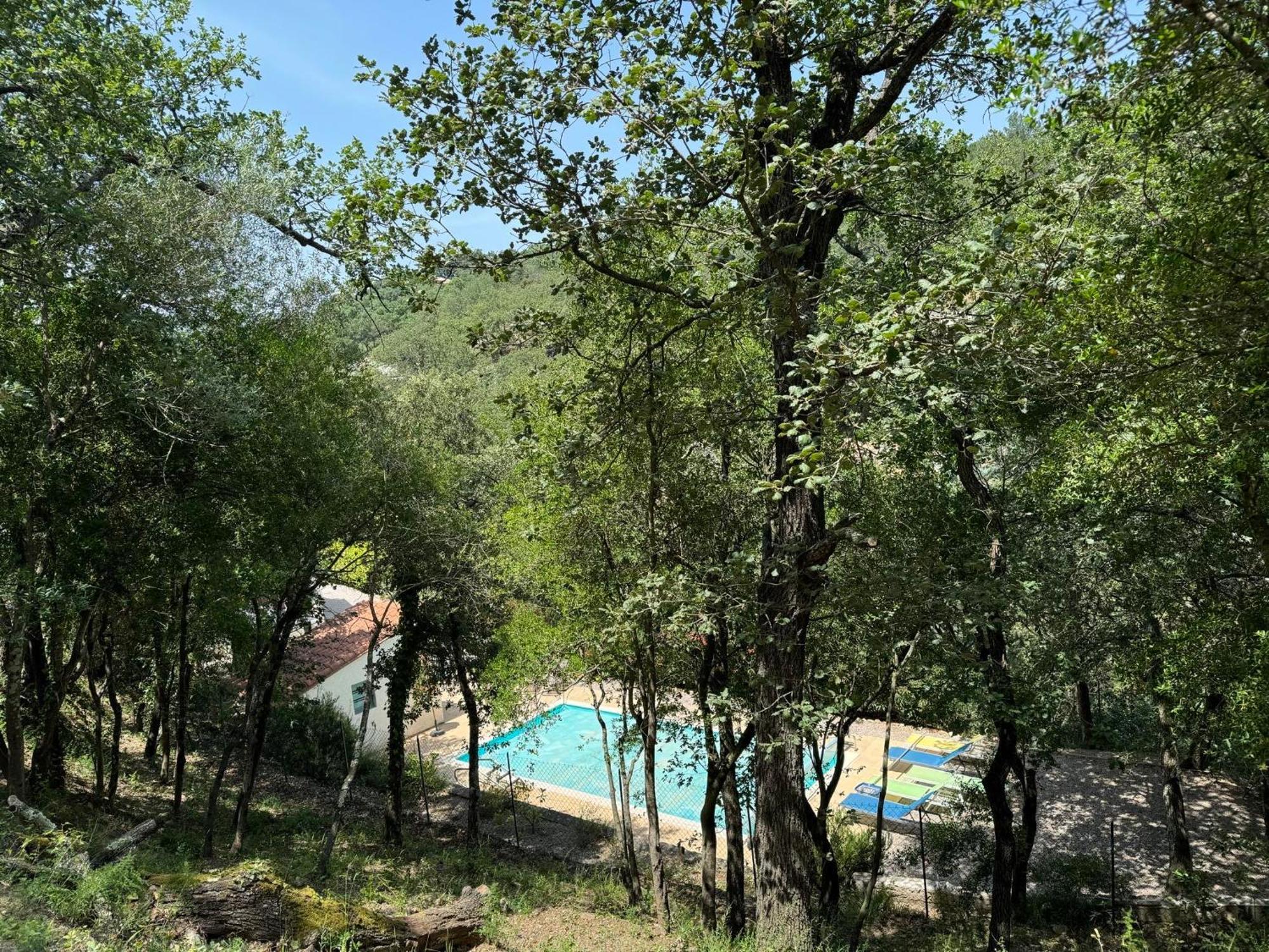 Maison Avec Piscine Chauffee Entre Mer Et Montagne Montauriol  エクステリア 写真